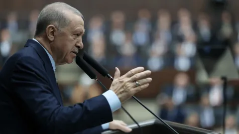 tayyip