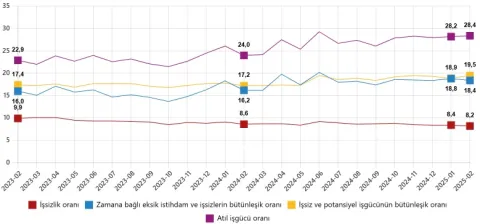 tuik