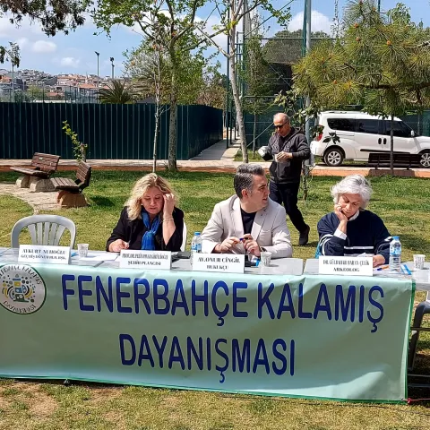 Kalamış 1