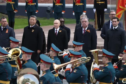 siputin