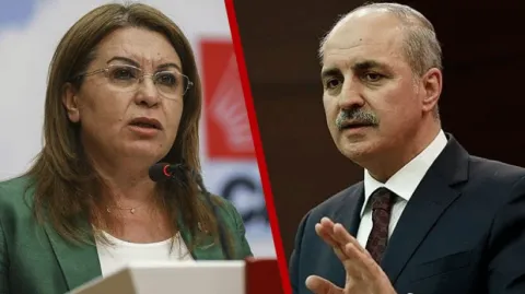 Meclis başkanvekili