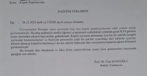 sakarya üniversitesi yazısı