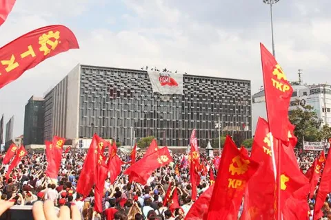 gezi