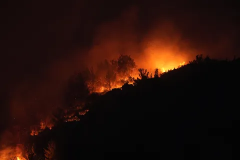 yangın4