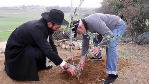 Limasol'da Chabad