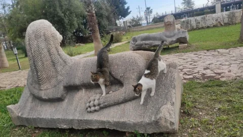 Antalya Müzesi