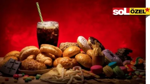 Bağımlılık Dosyası 3