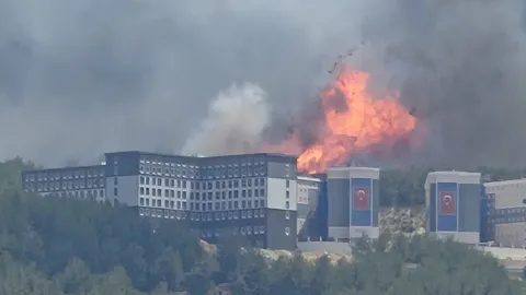 ff